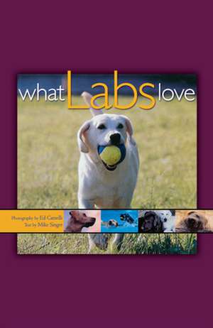 What Labs Love de Ed Camelli