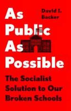 As Public as Possible de David I Backer