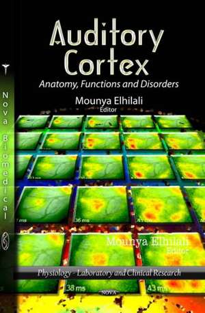 Auditory Cortex de Mounya Elhilali