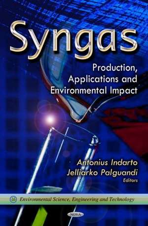 Syngas de Antonius Indarto