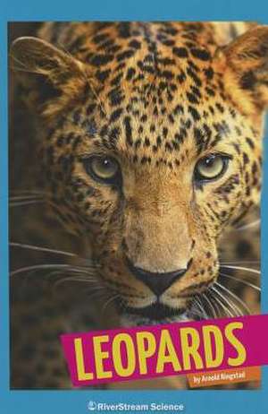 Leopards de Arnold Ringstad