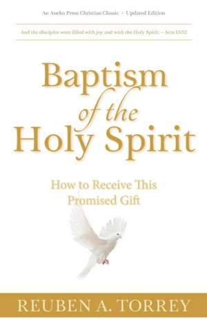 Baptism of the Holy Spirit de Reuben A. Torrey