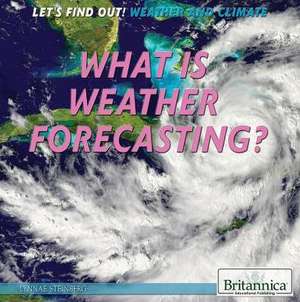 What Is Weather Forecasting? de Lynnae D Steinberg