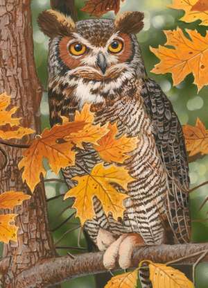 Autumn Owl: 1000pc Jigsaw Puzzle de William Vanderdasson