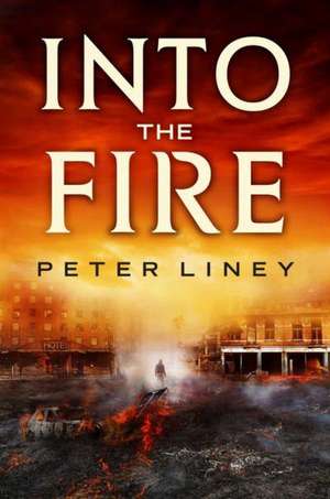 Into the Fire de Peter Liney