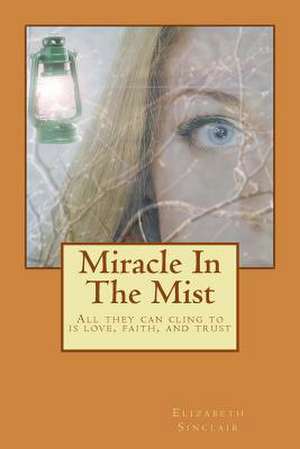 Miracle in the Mist de Elizabeth Sinclair