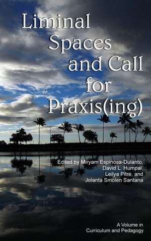 Liminal Spaces and Call for Praxis(ing) (Hc) de Louis W. Fry