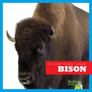 Bison de Cari Meister