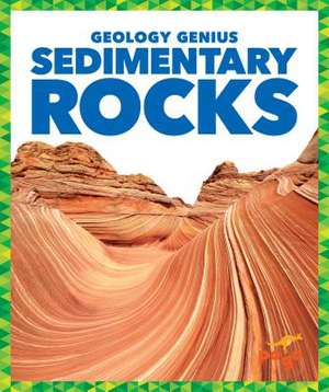 Sedimentary Rocks de Rebecca Pettiford