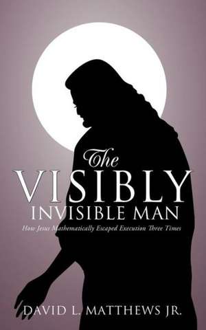 The Visibly Invisible Man de David L. Matthews Jr