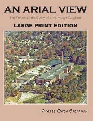 An Arial View de Phyllis Owen Spearman