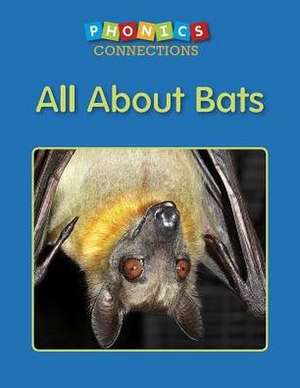 All about Bats de Boynton, Bibi