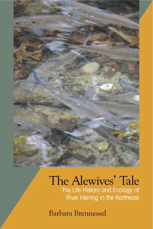 The Alewives' Tale: The Life History and Ecology of River Herring in the Northeast de Barbara Brennessel