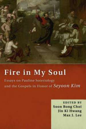 Fire in My Soul: Essays on Pauline Soteriology and the Gospels in Honor of Seyoon Kim de Soon Bong Choi