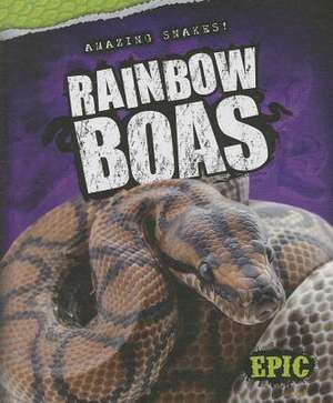 Rainbow Boas de Chris Bowman