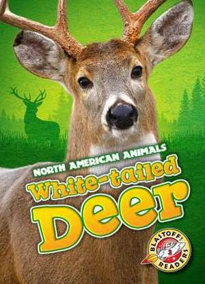 White-Tailed Deer de Chris Bowman