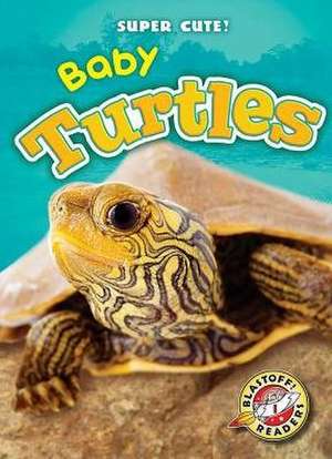 Baby Turtles de Megan Borgert-Spaniol