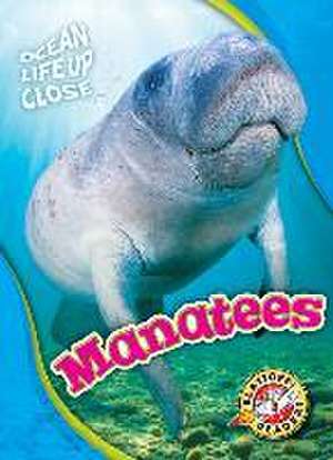 Manatees de Rebecca Pettiford