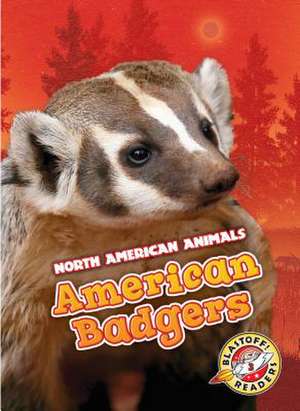 American Badgers de Rebecca Sabelko