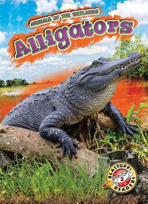 Alligators de Rachel Grack