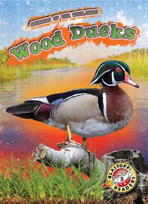 Wood Ducks de Rachel Grack