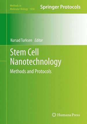 Stem Cell Nanotechnology: Methods and Protocols de Kursad Turksen