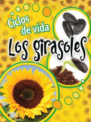 Ciclos de Vida Los Girasoles (Life Cycles: Sunflowers) de Julie K. Lundgren