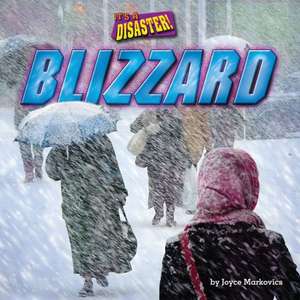 Blizzard de Joyce L. Markovics