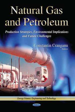 Natural Gas & Petroleum de Constantin Cranganu