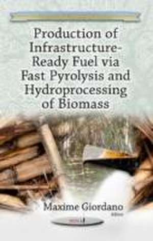 Production of Infrastructure-Ready Fuel via Fast Pyrolysis & Hydroprocessing of Biomass de Maxime Giordano