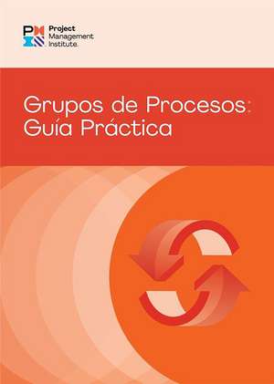 Process Groups: A Practice Guide (SPANISH) de PMI