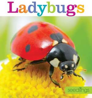 Seedlings: Ladybugs de Aaron Frisch
