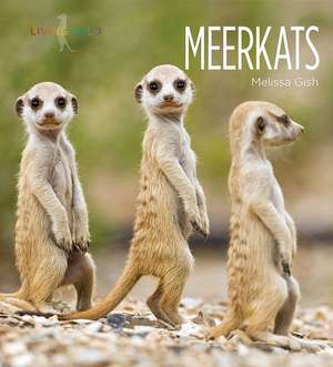 Meerkats de Melissa Gish