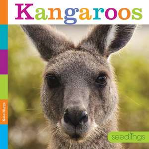 Kangaroos de Quinn M. Arnold