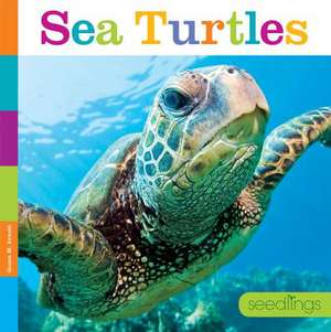 Sea Turtles de Quinn M Arnold