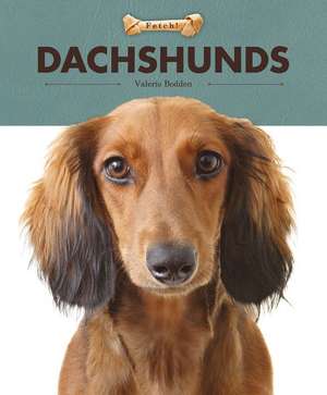 Dachshunds de Valerie Bodden