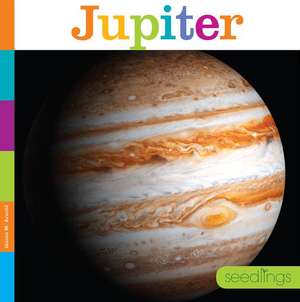 Jupiter de Quinn M. Arnold