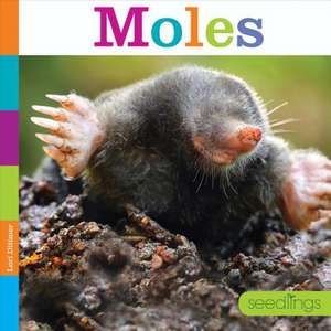 Moles de Lori Dittmer