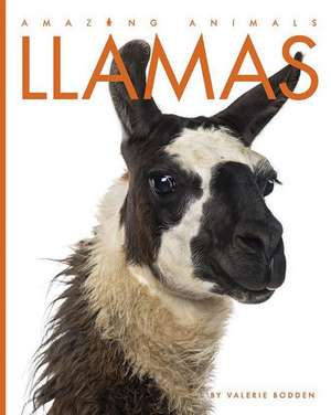 Llamas de Valerie Bodden