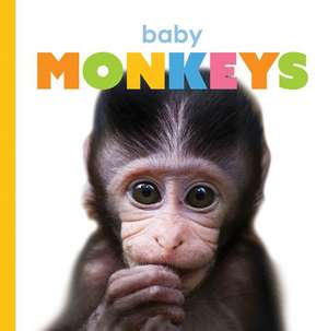 Baby Monkeys de Kate Riggs