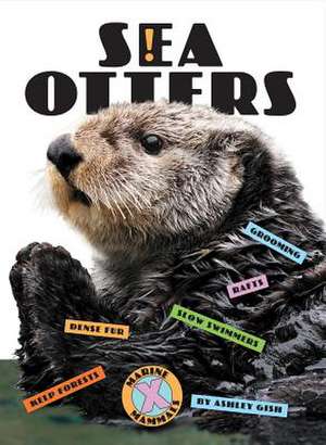 Sea Otters de Ashley Gish