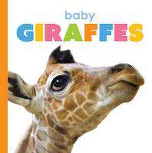 Baby Giraffes de Kate Riggs