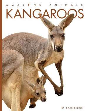 Kangaroos de Kate Riggs