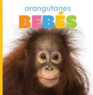 Orangutanes Bebés de Kate Riggs