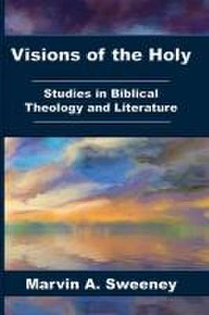 Visions of the Holy de Marvin A. Sweeney