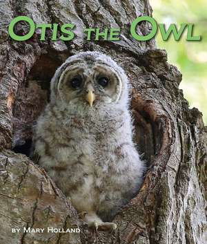 Otis the Owl de Mary Holland