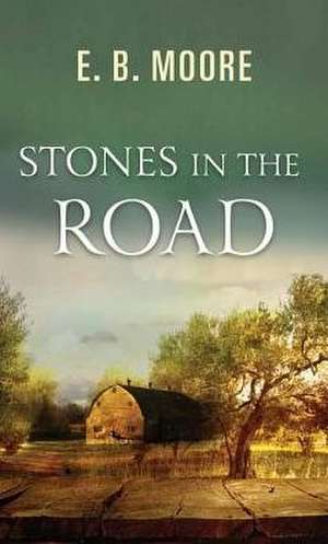 Stones in the Road de E. B. Moore