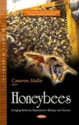 Honeybees de Cameron Malloy