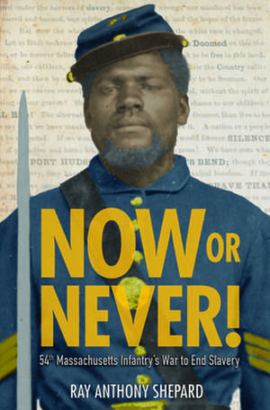 Now or Never! de Ray Anthony Shepard