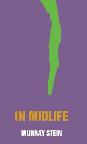 In Midlife de Murray Stein